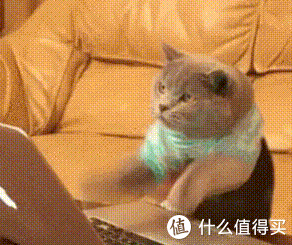 机械键盘按键数量区别，机械键盘轴的区别（从100元到1000元的键盘）