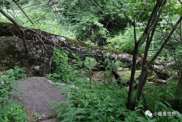 牡丹江有什么好玩的地方，敦化有什么好玩的地方（牡丹江柴河小九寨）