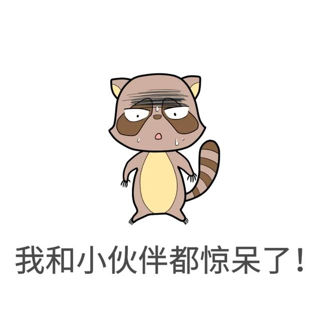 卧室如何铺地毯 卧室地毯什么材质的好，卧室如何铺地毯（全屋铺地毯有多重要）