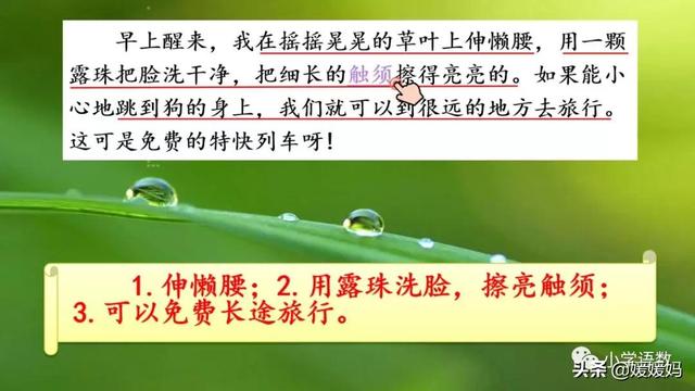 呀组词，呀的多音字组词（二年级下册语文课文11《我是一只小虫子》图文详解及同步练习）