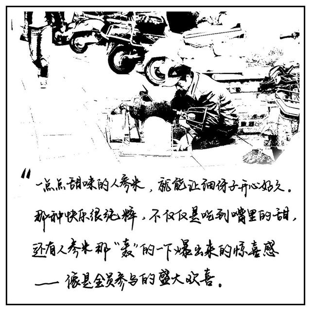 人参米是什么，人参米是什么意思（那一个有人参米的童年）