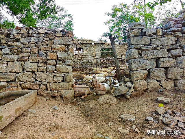 秦皇古道在哪呢，秦皇古道的简介（一座因唐僧晾经而得名的山岭）