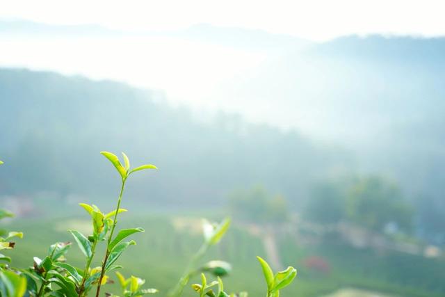 继续努力的诗句，鼓励孩子继续努力的诗句（献给每一位正在努力的人）
