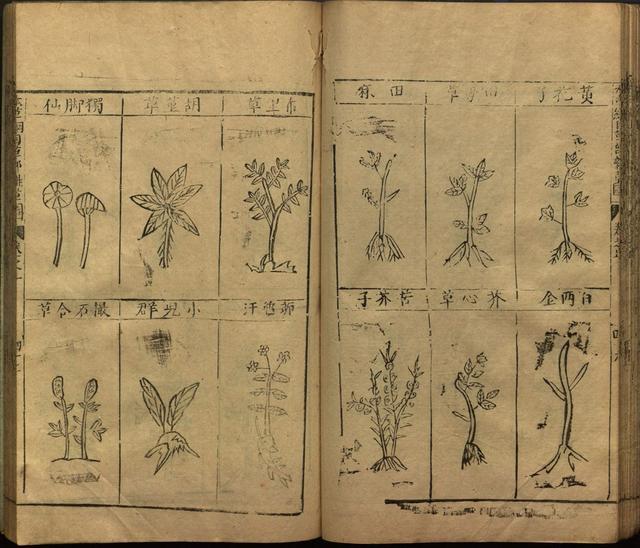 本草纲目全书带图，李时珍本草纲目全书（李时珍著《本草纲目》附图卷）