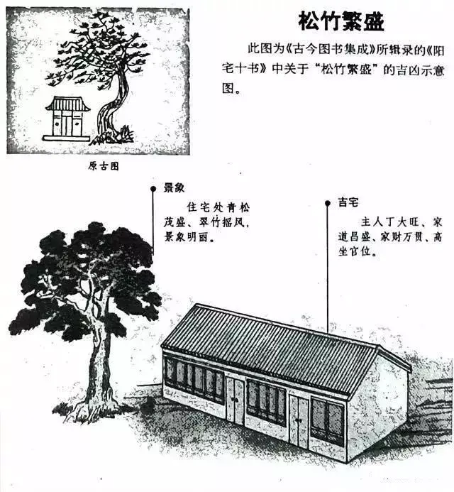家居風水知識大全（家居風水與身體疾?。? title=