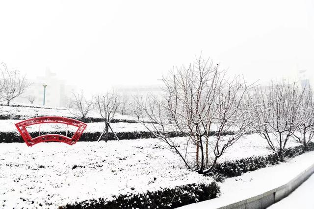 辽宁科技大学宿舍，2021年辽宁科技大学新生宿舍条件图片环境怎么样（<十五>辽宁科技大学）