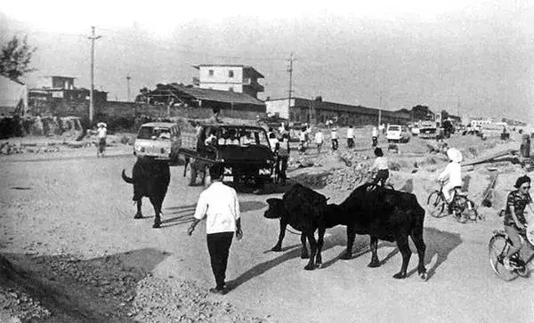 深圳发展历史回顾，老照片里看深圳经济特区“前世今生”