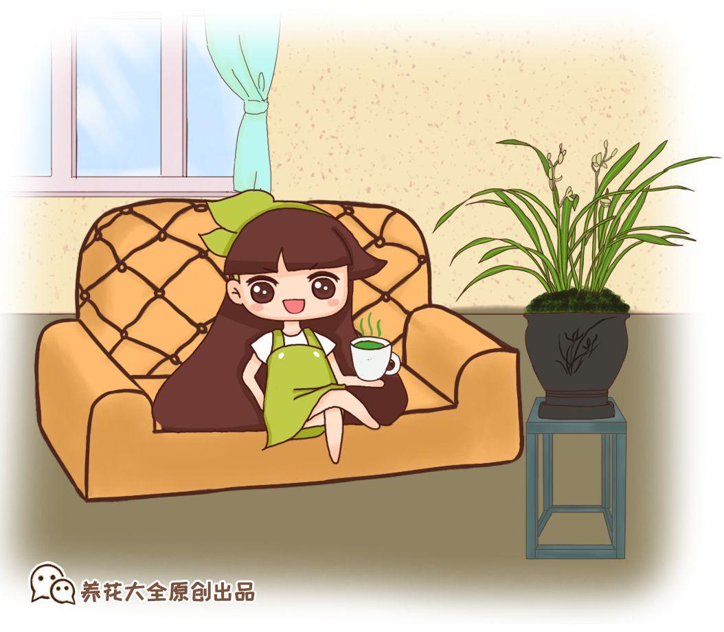 兰花什么时候开花，兰花开花时间（兰花最全养护要点）