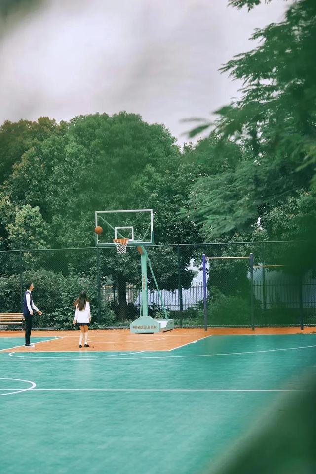 青春校园小说，青春校园小说名字怎么取（推荐3部超甜超好看的青春校园小说）