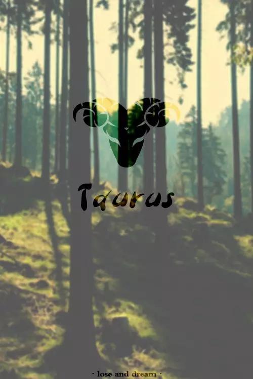 allen英文名什么意思，Allen英文名什么意思（你适合什么样的英文名）