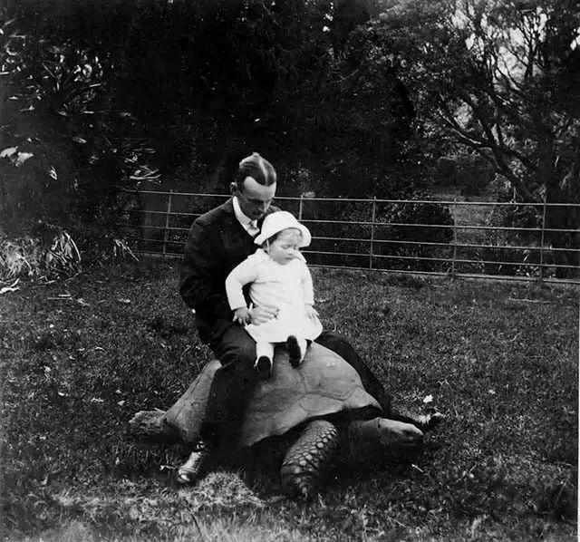 英国的国宝是什么动物，加拿大的国宝是什么动物（从道光时期活到现在）