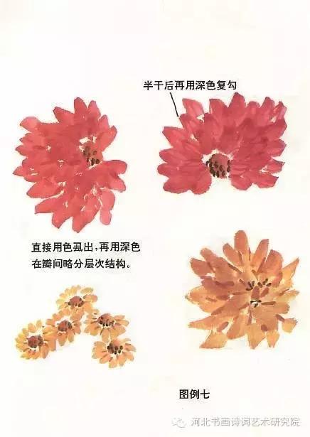 花的画法——菊花的画法，菊花是怎么画（菊花画法大全）