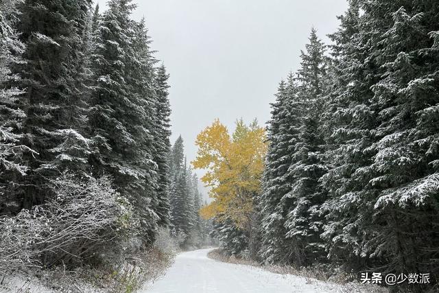 苹果12pro防水吗，苹果12pro防水到什么程度（让专业摄影师满意的升级）