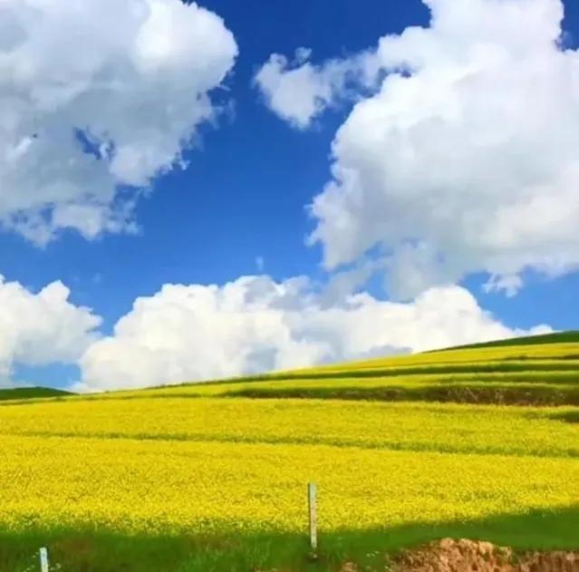 开源节流是什么意思是什么，开源节流是什么意思（企业的生存之道：开源节流）