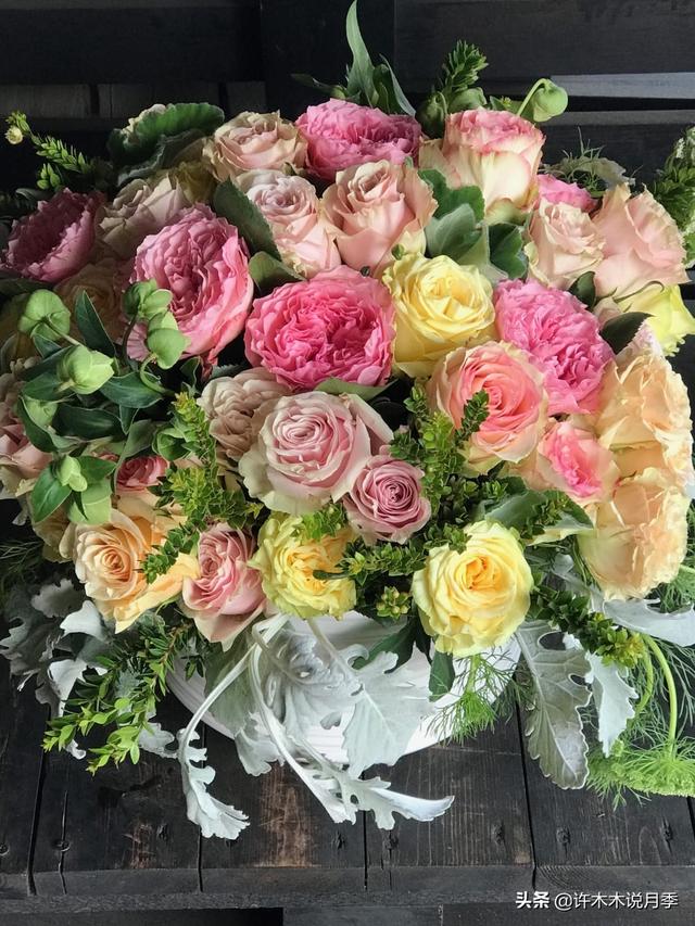 月季花一般都几月份开，月季花一般都几月份开花（怎么才能让月季开更多花呢）