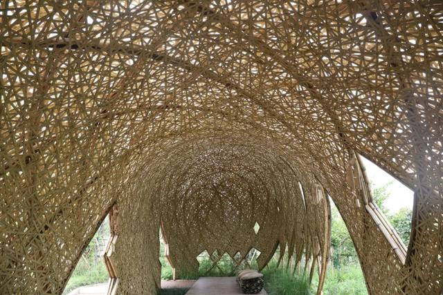 有创意的园林名字，有创意的园林名字大全（究竟蕴含着哪些景观设计）