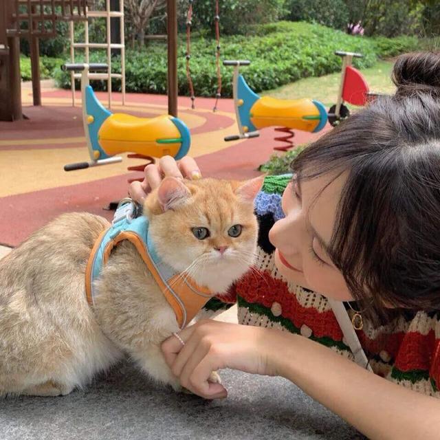 动漫女生头像   今天天气很好适合打打闹闹微信，动漫女生头像   今天天气很好适合打打闹闹，更适合亲亲抱抱（女生：可以获得漂亮并且温柔）