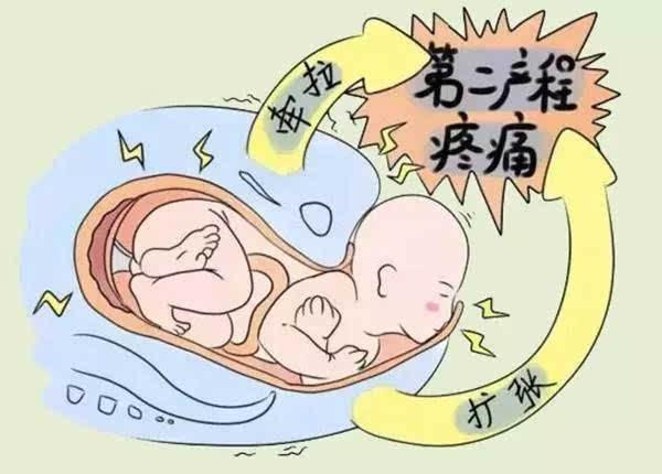 女生生孩子顺产，女人生孩子顺产（带你了解分娩过程）