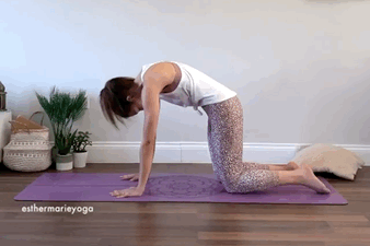 练瑜伽的姿势，练瑜伽的姿势图片（初学者练瑜伽不知道练什么）