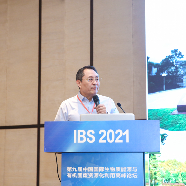 ibs是什么单位（邀您共赴十年之约）