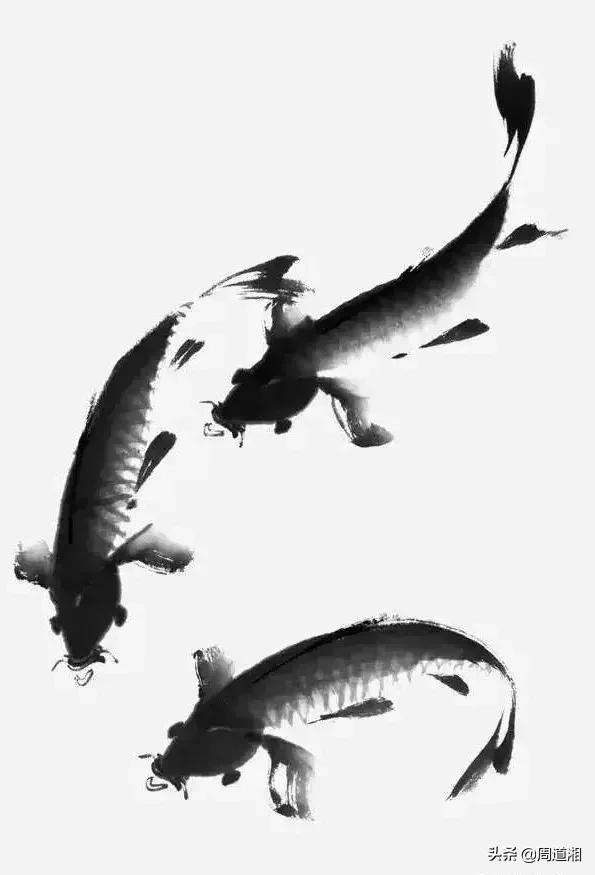 金鱼画法步骤图解,国画写意鲤鱼、金鱼的画法 金鱼画法步骤图解,国画写意鲤鱼、金鱼的画法