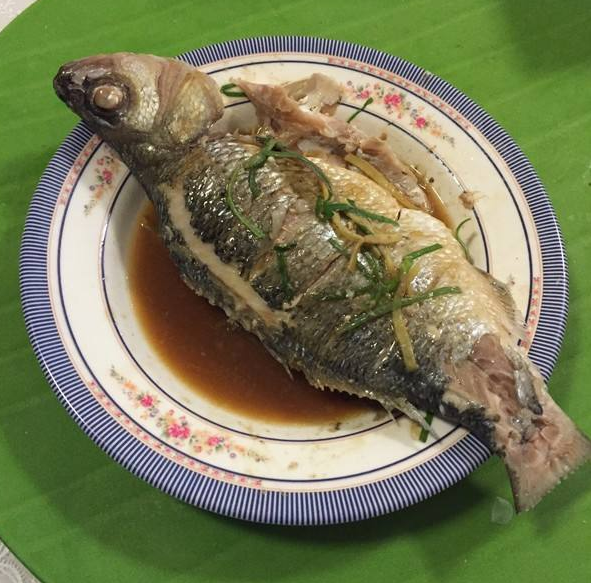 清蒸鲟鱼的做法和步骤，清蒸鲟鱼的正宗做法（不会做“清蒸鱼”）