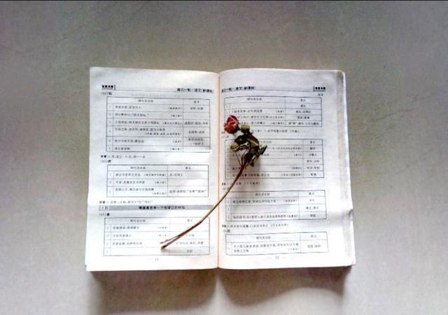 描写春花的诗句，描写春花的诗句有哪些（春风春花春雨春草春阳春树）