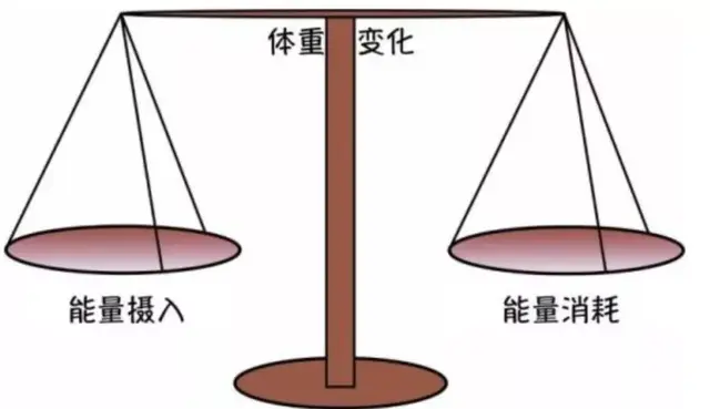能量和热量的区别，食物的热量和能量有什么区别（增肌减脂你得学这个）
