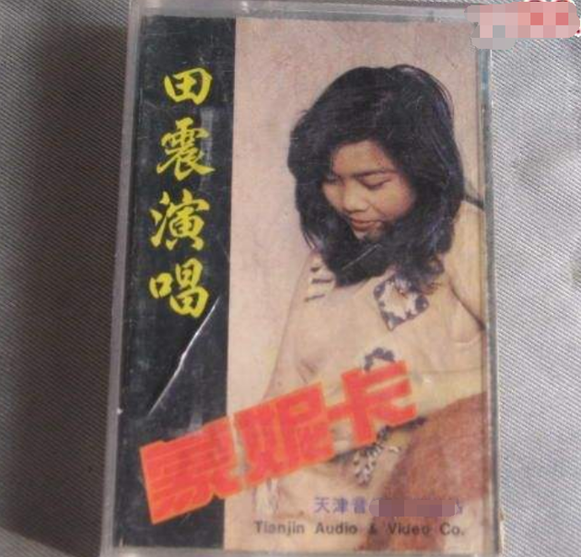 苏苪清网名，苏苪清微信昵称（因不良爱好走下神坛的田震现状如何）