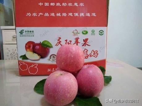 甘肃的特产有什么，甘肃有什么特产（一天一省之甘肃——十大农产品特产）