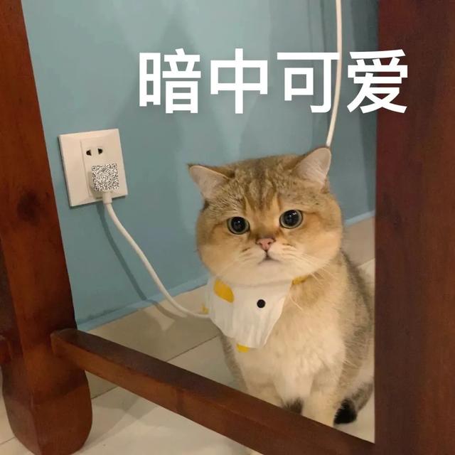 泪奔与泪崩的区别，表情包：泪崩了