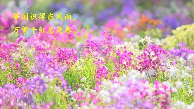 村的组词有哪些，村的组词有什么（部编语文二年级下册课文1、古诗二首）