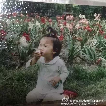 权律二呆萌搞怪可爱图片，权律二头像可爱搞怪（谢飞机、小刚几、权律二…长期霸屏的网红表情包们长大了...）