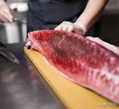 白金枪鱼是什么鱼，白金枪鱼和红金枪鱼哪个贵（天价蓝鳍金枪鱼及其背后的秘密）