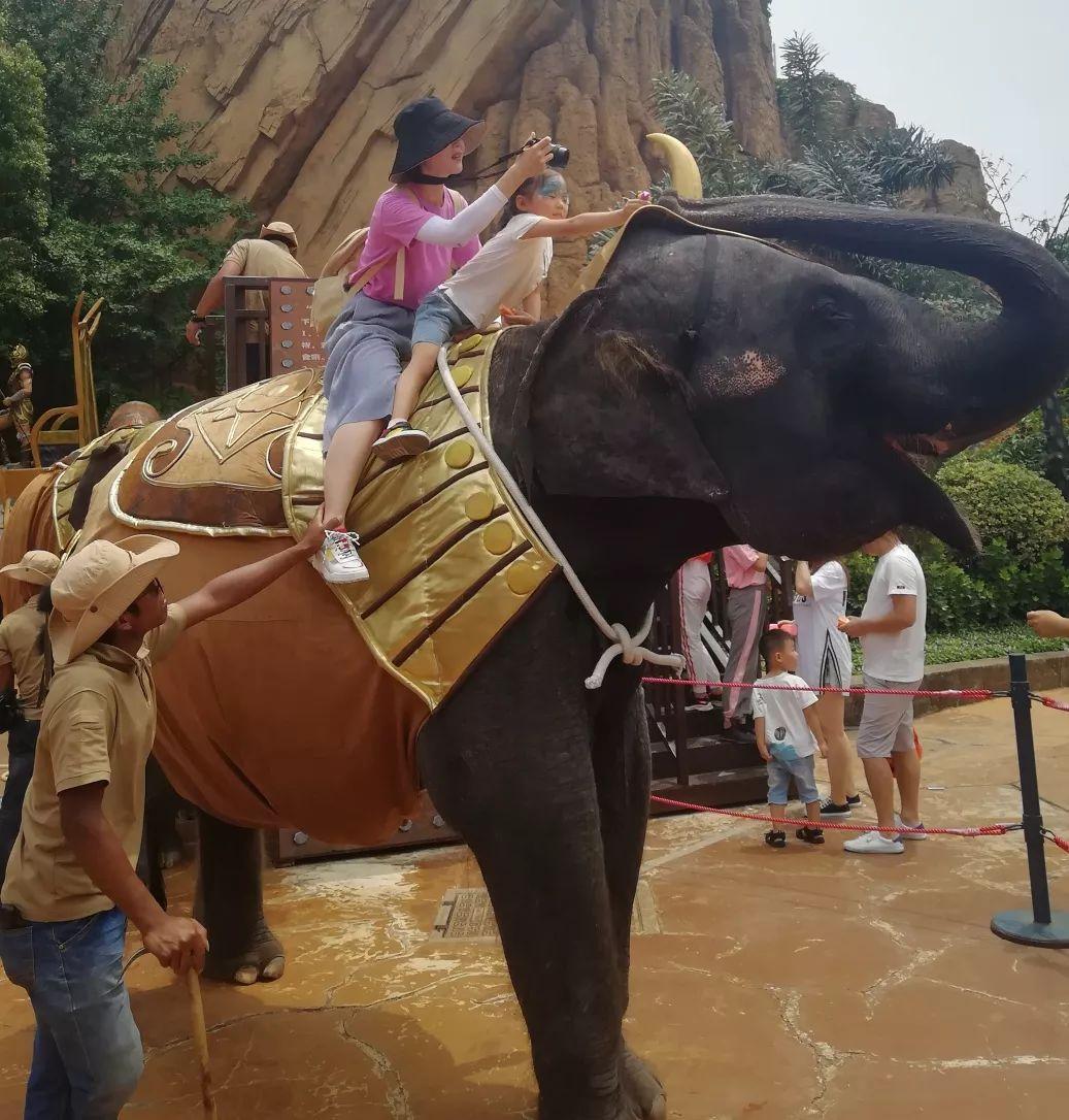 常州哪个旅游团比较好，常州哪个旅游团比较好点（<云中部落别墅、嬉戏谷、恐龙园、环球港>）
