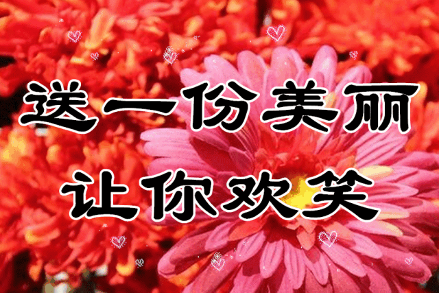幸福永安康下面一句是什么，毕业祝福语一句话（一曲《愿你快乐每一天》送给你）