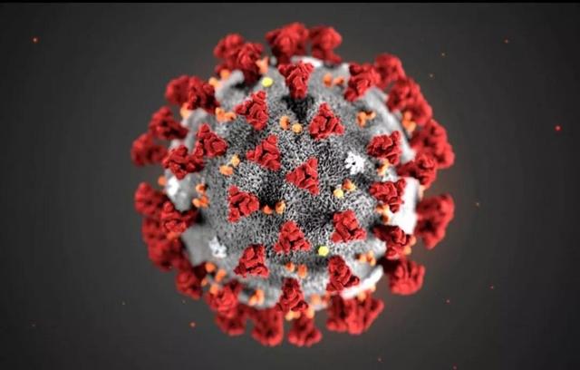 玩网是什么意思，网玩是啥意思（2020十大网络事件）