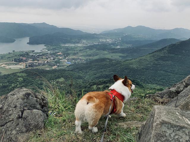 大姆山原生态草原开放了吗，福州辖区内面积最大又鲜为人知的高山草原