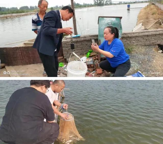 叉尾鮰鱼刺多吗，鮰鱼刺多吗（成就了他的特种养殖梦）