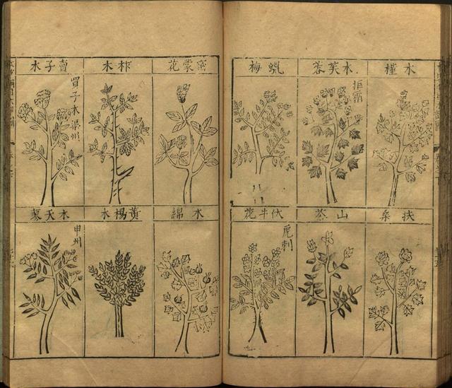 本草纲目全书带图，李时珍本草纲目全书（李时珍著《本草纲目》附图卷）