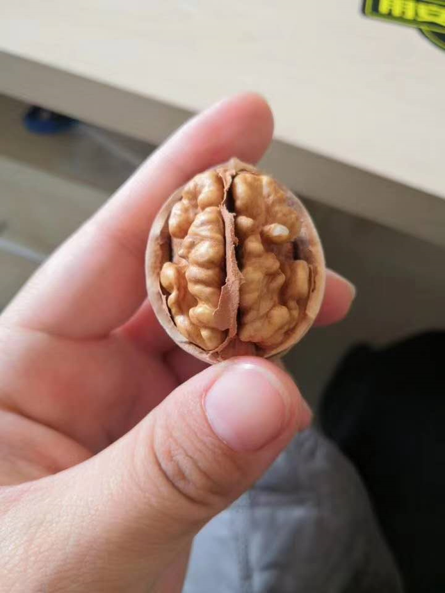 大核桃保存方法，大核桃保存方法 冷冻（您知道被称为“长寿果”的核桃）