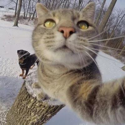 植物大战僵尸头像，植物大战僵尸6人团头微信（在吗？组队换头像啦）