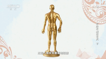 艾绒液的功效，艾绒液的功效与作用及禁忌症（关节冷痛、咳嗽、失眠、腹泻……一天见效）