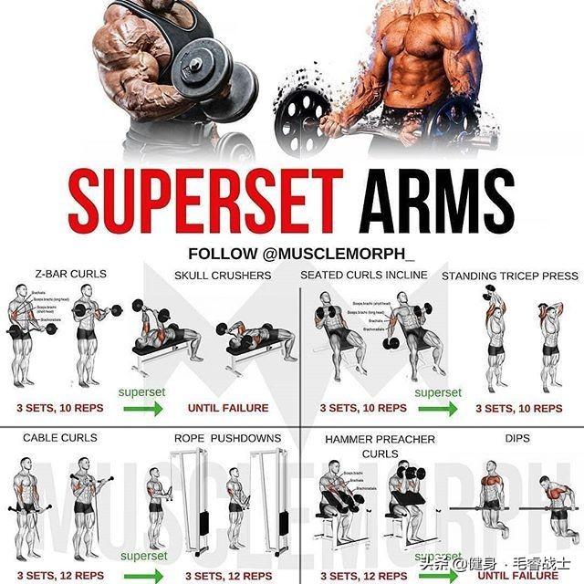 健身毛睿是什么，健身毛毛老师（全身健身训练图解！！）