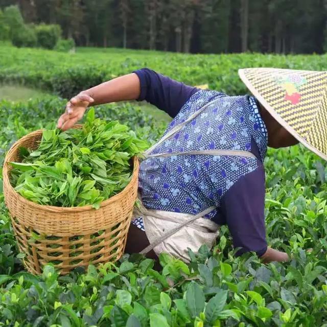 浅喜似苍狗深爱如长风是什么意思,浅喜似苍狗深爱如长风是什么意思(浅喜似苍狗,深爱如长风) 浅喜似苍狗深爱如长风是什么意思,浅喜似苍狗深爱如长风是什么意思(浅喜似苍狗,深爱如长风)