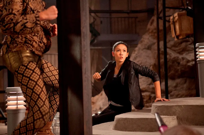 十二生肖》中,一共出现了两名龙女郎的身影,一位是姚星彤,一位是张