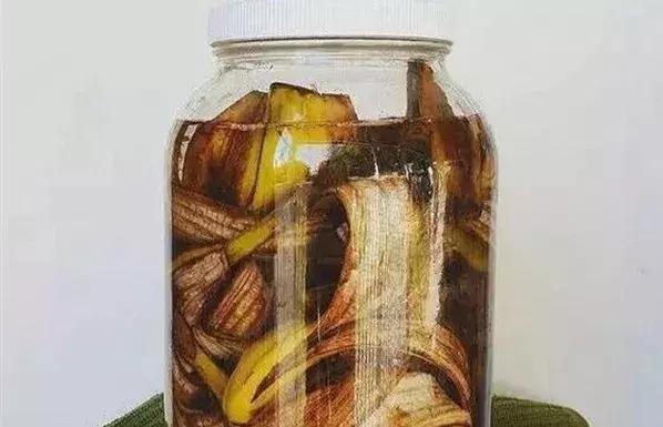 碳酸氢钠在医学上有什么用途，碳酸氢钠在医学上有什么用途和作用（小苏打原来有这么多好处）