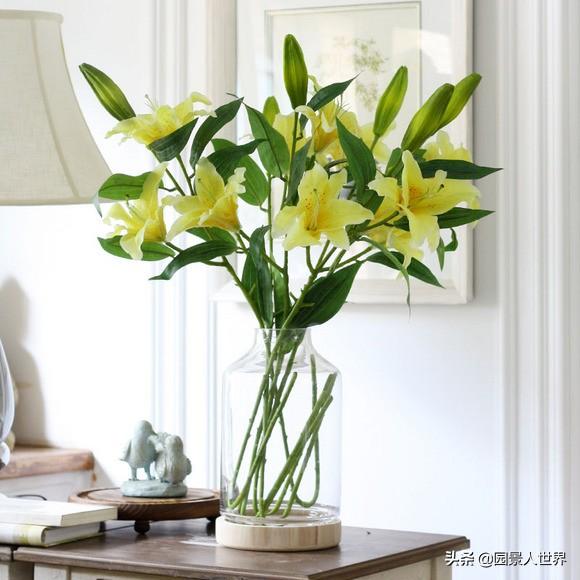 百合花的寓意是什么，百合花有几种颜色（不知道送百合花什么含义的朋友要注意了）