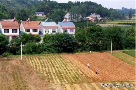 亩怎么读，亩拼音（亩怎么读）（解读一亩等于多少平方米）