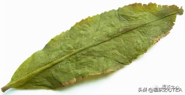 莲花峰茶不适宜哪些人喝，莲花峰茶有什么作用（了解福建全部茶叶看这一篇就够了）